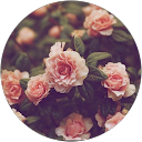 Sarah Attiyah profile picture